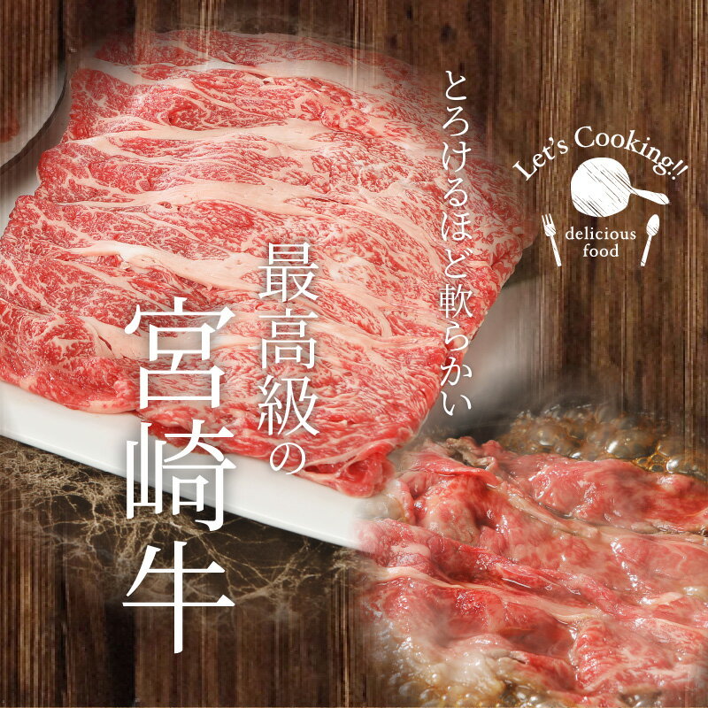 宮崎県木城町の画像3