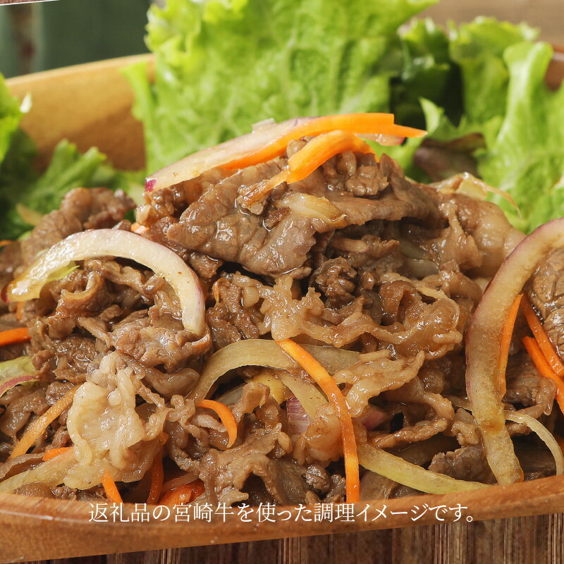 宮崎県木城町の画像3