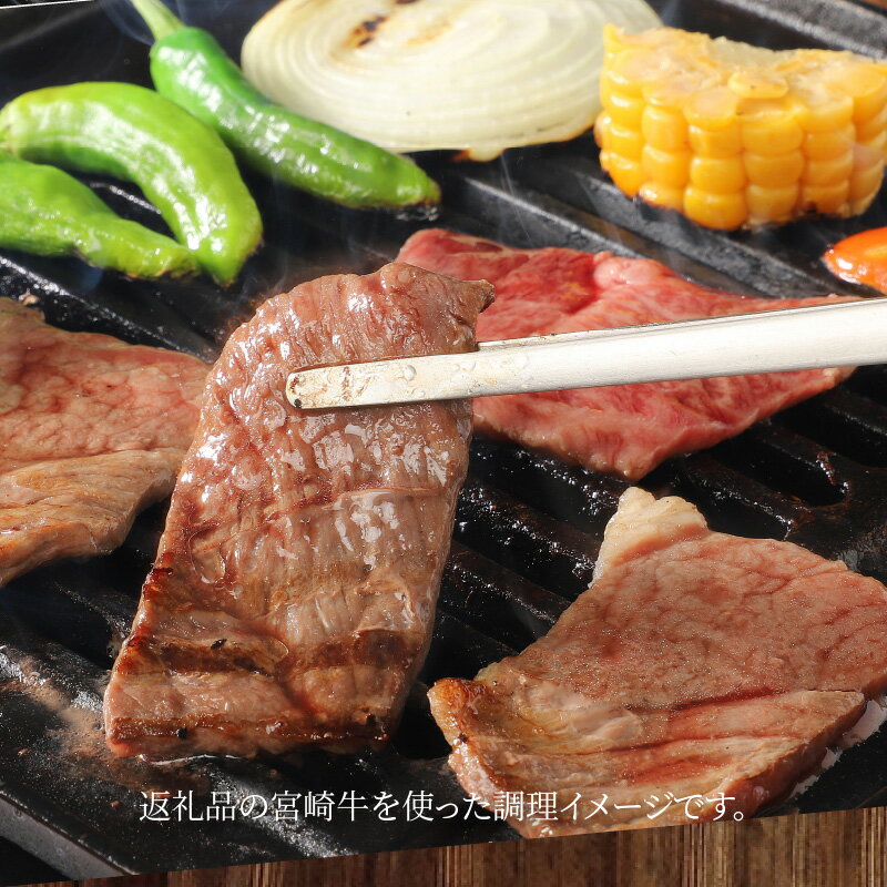 宮崎県木城町の画像3