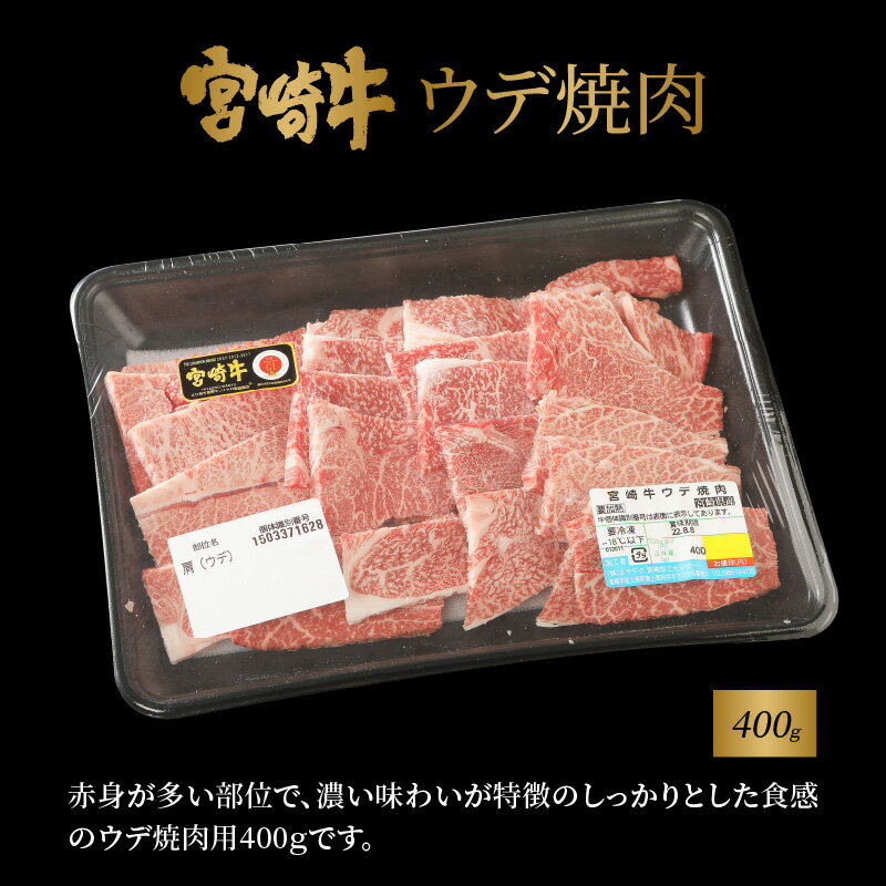 宮崎県木城町の画像3