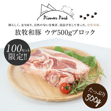 【ふるさと納税】放牧和豚 ウデブロック 500g 豚 ブロック肉 【宮崎県木城町】