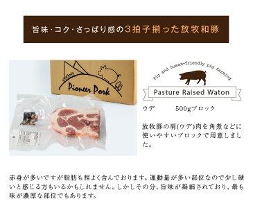 【ふるさと納税】放牧和豚 ウデブロック 500g 豚 ブロック肉 【宮崎県木城町】