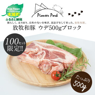 【ふるさと納税】放牧和豚 ウデブロック 500g 豚 ブロック肉 【宮崎県木城町】