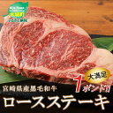 【ふるさと納税】<宮崎県産黒毛和牛1ポンド(450g以上)ロ...