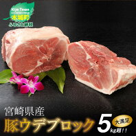 【ふるさと納税】＜宮崎県産豚ウデブロック5kg超!＞ K16_0014 送料無料【宮崎県木城町】