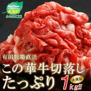 【ふるさと納税】<有田牧場直送 この華牛切落し たっぷり 1...