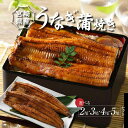 【ふるさと納税】宮崎県産うなぎ蒲焼きセット 尾数選べる 2尾/3尾/4尾/5尾 - 鰻 ウナギ 国産うなぎ 国内産 うなぎの蒲焼き 自慢のたれ付き ひつまぶし うな丼 うな重 鰻重 鰻丼 鰻巻き ご飯 惣菜 瞬間冷凍 送料無料【宮崎県児湯郡木城町】