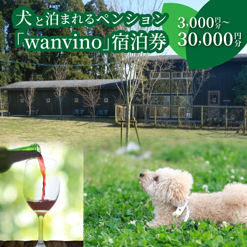【ふるさと納税】犬と泊まれるペンション「wanvino」宿泊券 - 宮崎 宿泊 トラベル ペット可 ペット同伴 九州 ペットと泊まれる宿 ペットOK わんちゃん ドッグラン付きペンション 一緒に泊まれる トリミングルーム 送料無料【宮崎県木城町】