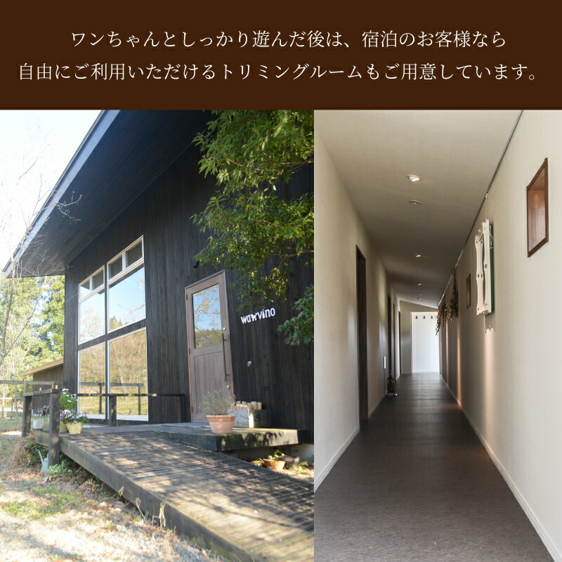 宮崎県木城町の画像3