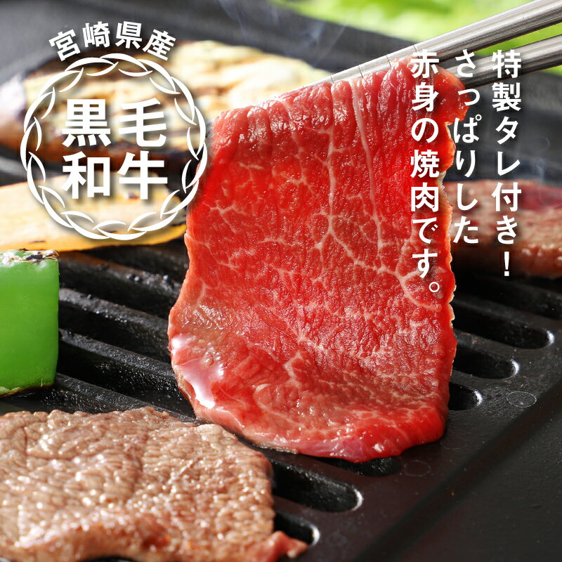 宮崎県木城町の画像3