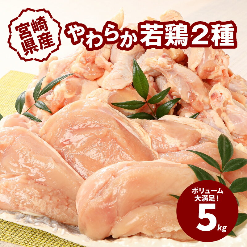 6位! 口コミ数「33件」評価「4.15」宮崎県産鶏 やわらか若鶏2種5kg - 鶏むね肉 手羽元 国産若鶏 鶏肉セット 冷凍 唐揚げ/グリルチキン/さっぱり煮 たんぱく質 胸肉 大･･･ 