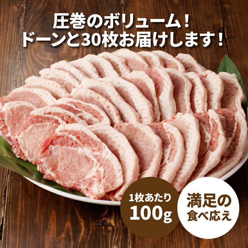 【ふるさと納税】【レビューキャンペーン対象】贅沢宮崎県産豚肉ロース100gカット30枚 - 小分け とんかつ用 筋切り加工済み とんかつ肉 国産豚肉 総重量3kg 生姜焼き/トンテキ/ポークソテーに きめが細やか 豚ロース ファミリー向け 冷凍 送料無料【宮崎県木城町】