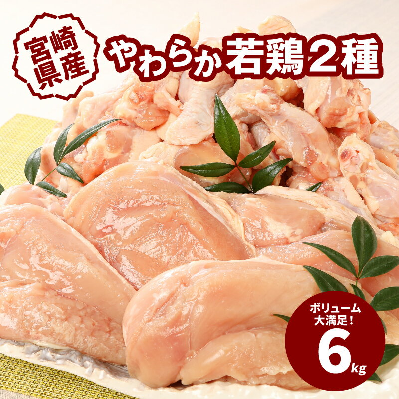 宮崎県産鶏 やわらか若鶏2種6kg - 鶏むね肉 手羽元 国産若鶏 鶏肉セット 冷凍 唐揚げ/グリルチキン/さっぱり煮 たんぱく質 送料無料 [宮崎県木城町]