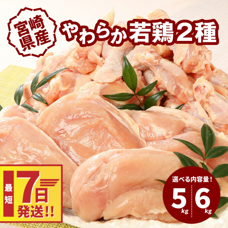 【ふるさと納税】【レビューキャンペーン対象】宮崎県産鶏 やわらか若鶏2種 5kg・ 6kg - 内容量を選べる 大容量 鶏むね肉 手羽元 国産若鶏 鶏肉セット ムネ肉 冷凍 胸肉 ヘルシー 唐揚げ/グリルチキン/さっぱり煮 たんぱく質 スピード配送便 送料無料 【宮崎県木城町】のサムネイル