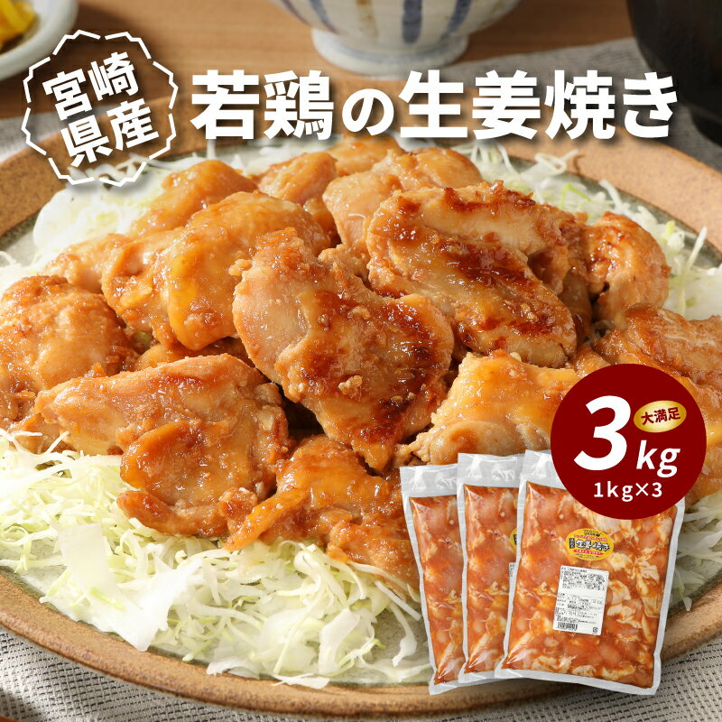 【ふるさと納税】宮崎県産若鶏の生姜焼き 3kg - 国産若鶏