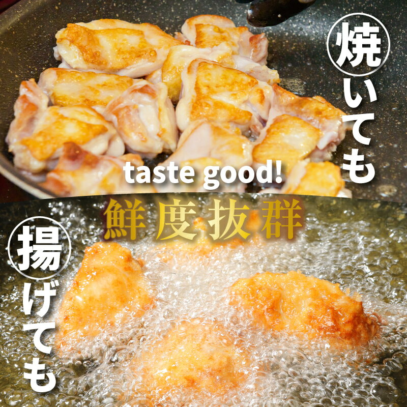 宮崎県木城町の画像2