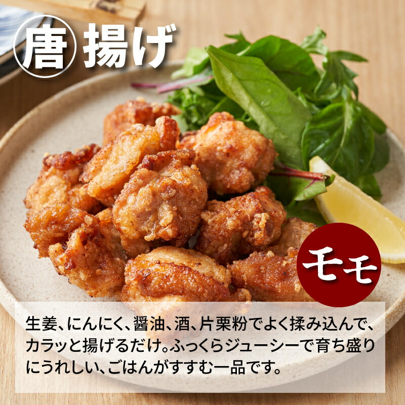 宮崎県木城町の画像3