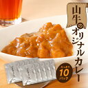 【レビューキャンペーン対象】「山牛」のオリジナルカレー10パックセット - 1人前 約200g レトルトカレー ビーフカレー レトルト食品 国産牛肉 黒毛和牛 簡易包装 パウチ 湯煎調理 常温保存可能 保存食 常備食 キャンプ 送料無料【宮崎県木城町】