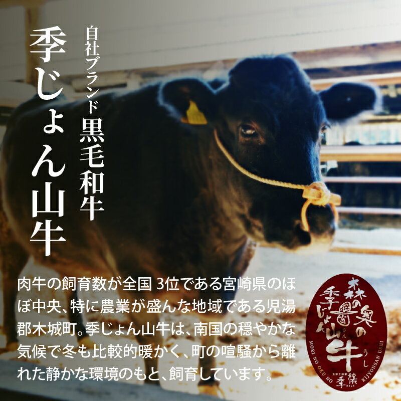 宮崎県木城町の画像3