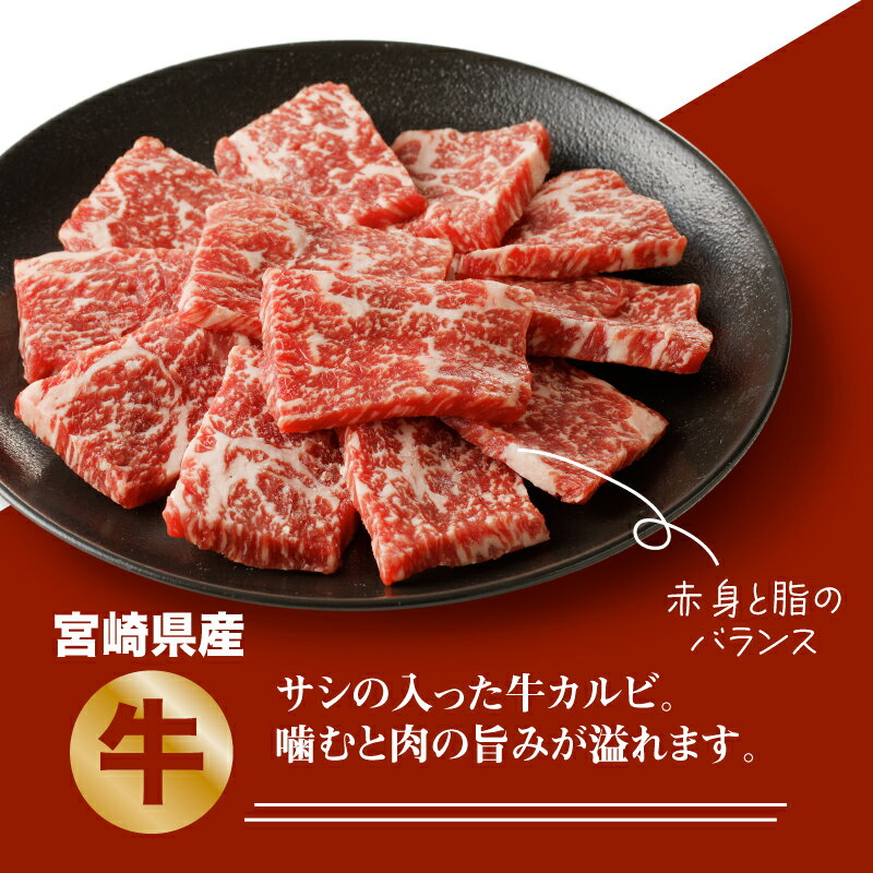 宮崎県木城町の画像3
