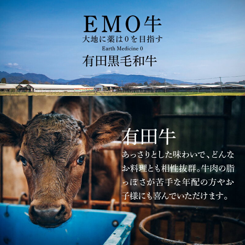 宮崎県木城町の画像3