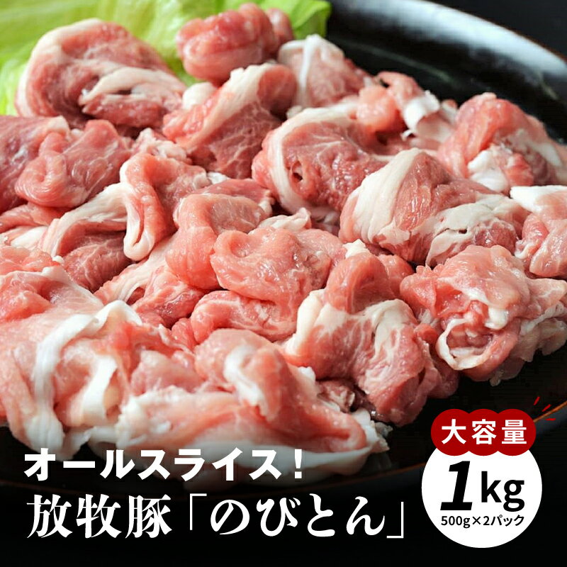 放牧豚「のびとん」スライスセット!500g×2パック - 国産豚肉 切り落とし 1kg 臭みがなく、脂が甘い肉質 きめ細かで脂に甘味のある芳醇な味わい ストレスフリーで育った上質な肉質 送料無料 [宮崎県木城町]