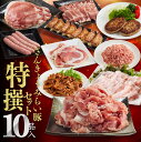 【ふるさと納税】 さんきょうみらい豚『特撰セット』10種 バラしゃぶ/切り落とし/味噌漬け/生ハム/焼餃子/ハンバーグ/生姜焼き用ロース/焼肉用カタロース/豚ミンチ 肉 豚肉 宮崎県産 九州産 おうち時間 おうちごはん 豚肉セット 詰め合わせ G0111