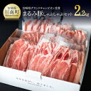 【ふるさと納税】 豚肉 『まるみ豚しゃぶしゃぶセット2020』 肉 宮崎県グランドチャンピオン獲得