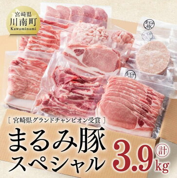 【ふるさと納税】 豚肉 『まるみ豚スペシャル』 宮崎県グランドチャンピオン獲得 ハンバーグ/ロースかつ/ローススライス/バラスライス/モモスライス/粗挽きミンチ/こま切れ/ヒレ/スペアリブ 宮崎県産(川南町産) ブランドポーク 送料無料 G0306