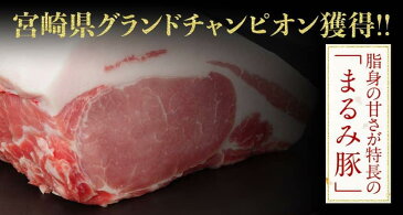 【ふるさと納税】 豚肉 『まるみ豚スペシャル』 宮崎県グランドチャンピオン獲得 ハンバーグ/ロースかつ/ローススライス/バラスライス/モモスライス/粗挽きミンチ/こま切れ/ヒレ/スペアリブ 宮崎県産(川南町産) ブランドポーク 送料無料 G0306