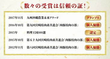 【ふるさと納税】 豚肉 『まるみ豚スペシャル』 宮崎県グランドチャンピオン獲得 ハンバーグ/ロースかつ/ローススライス/バラスライス/モモスライス/粗挽きミンチ/こま切れ/ヒレ/スペアリブ 宮崎県産(川南町産) ブランドポーク 送料無料 G0306