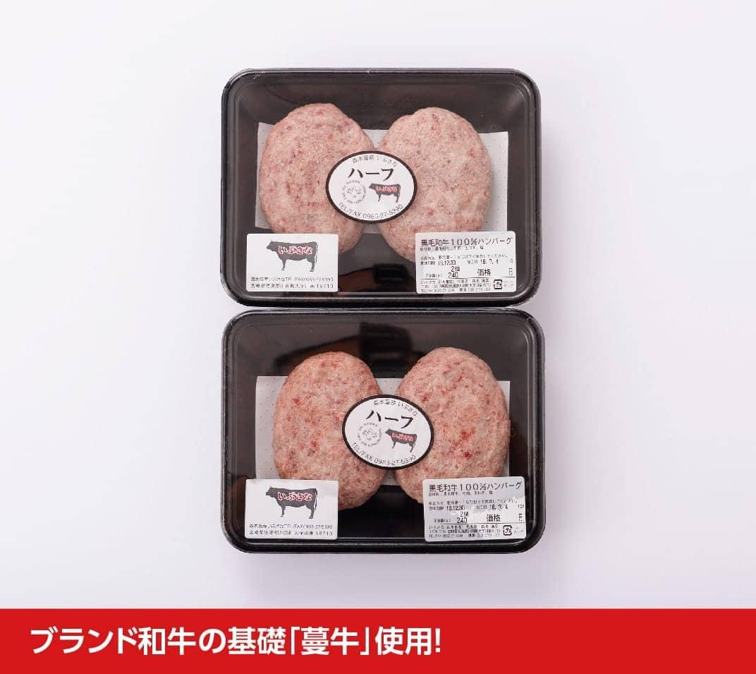 【ふるさと納税】 日本古来の希少な牛の血統を引き継ぐ「いぶさなハンバーグ」 牛 ハンバーグ 送料無料 H0501