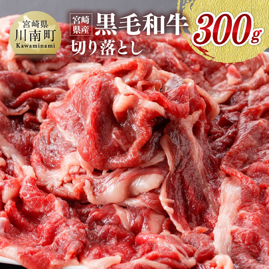 宮崎県産 黒毛和牛 切り落とし 300g 肉 牛肉 切り落とし 150g×2パック 牛丼 炒め物 九州産 宮崎産 川南町産 お取り寄せ 送料無料 川南町