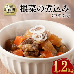 【ふるさと納税】※レビューキャンペーン※ 根菜の煮込み（牛すじ入）1.2kg - 国産 牛 黒毛和牛 宮崎県産 牛肉 牛すじ 根菜 煮込み ボリューム 送料無料 E0501