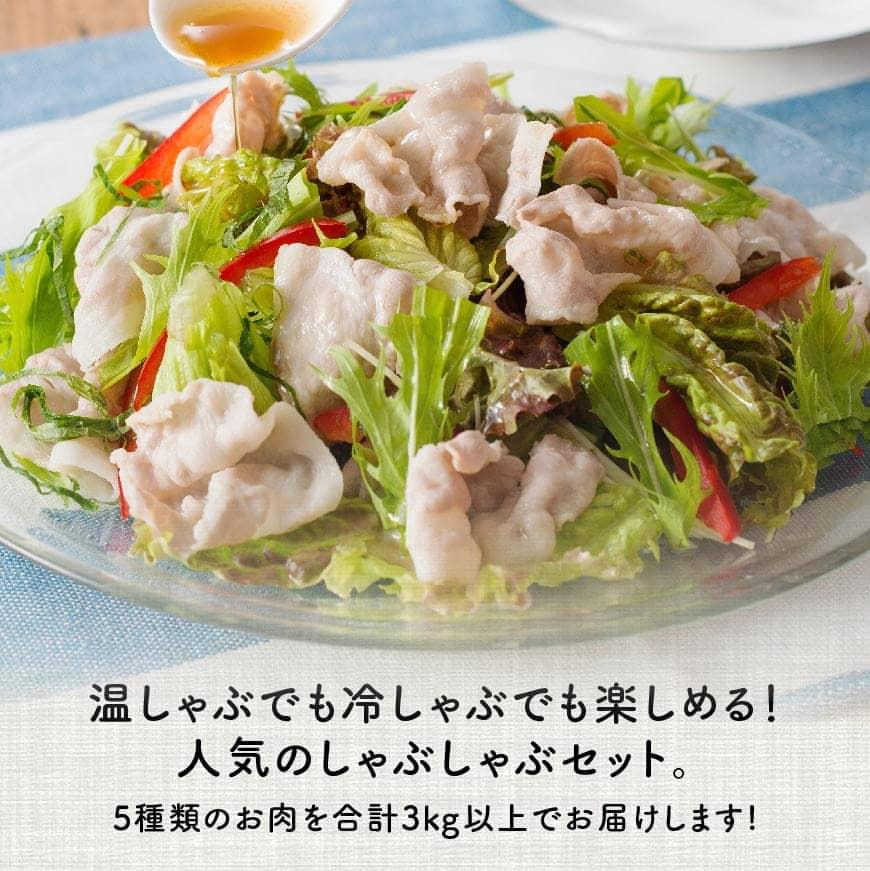 【ふるさと納税】愛豚隊しゃぶしゃぶセット　合計3.0kg以上が大人気返礼品になっている理由とは　ふるさと納税　人気　返礼品　ランキング