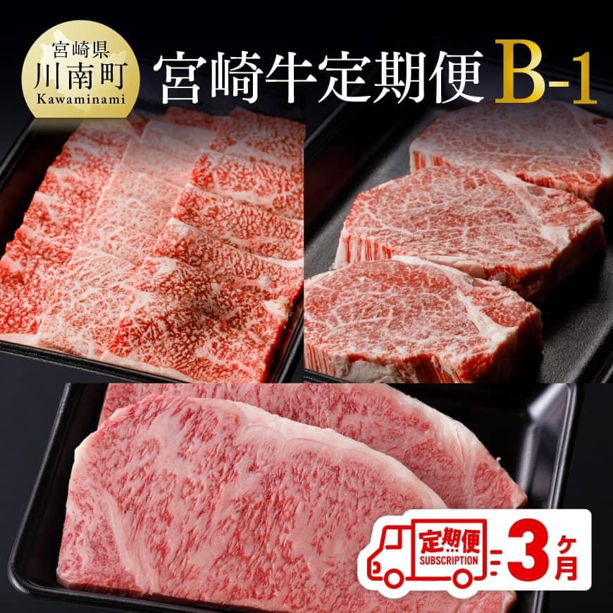 ※レビューキャンペーン※[定期便]宮崎牛 3ヶ月定期便B-1(ロースステーキ/肩ロース焼肉/ヒレステーキ) 肉 牛肉 国産 宮崎県産 黒毛和牛 和牛 セット ミヤチク 宮崎県 川南町 送料無料 E0683t31