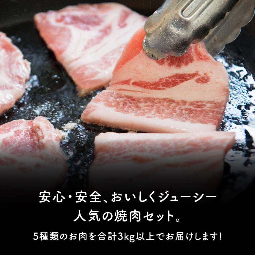 【ふるさと納税】愛豚隊焼肉セット　合計3.0kg以上が大人気返礼品になっている理由とは　ふるさと納税　人気　返礼品　ランキング