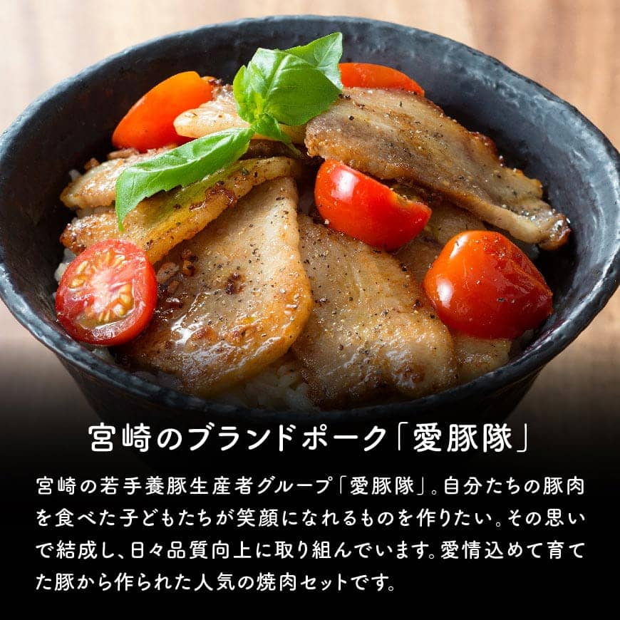 【ふるさと納税】愛豚隊焼肉セット　合計3.0kg以上が大人気返礼品になっている理由とは　ふるさと納税　人気　返礼品　ランキング
