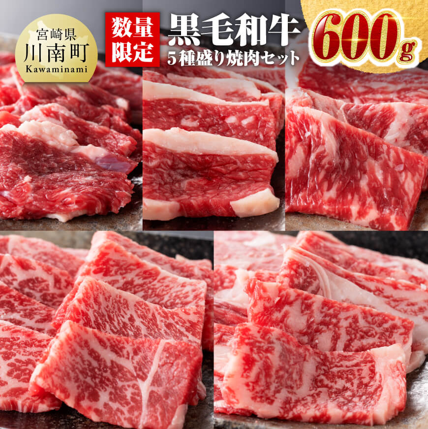 【ふるさと納税】 《 発送時期が選べる 》【 数量限定 】 黒毛和牛 5種盛り 焼肉セット 600g - 肉 牛肉 国産 国産牛 宮崎県産 黒毛和牛 ミヤチク BBQ 焼肉 焼き肉 バーベキュー 送料無料 E0649