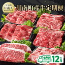 13位! 口コミ数「0件」評価「0」【定期便】川南町産牛 12ヶ月定期便 - 肉 牛 牛肉 国産 九州産 宮崎県産 クラシタ 肩ロース ウデ モモ スライス バラ カルビ ロー･･･ 