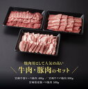 【ふるさと納税】※レビューキャンペーン※ 宮崎牛 ＆ 宮崎県産豚 焼肉セット 肉 牛肉 豚肉 国産 黒毛和牛 BBQ バーベキュー セット 詰め合わせ 肩ロース ウデ うで 豚バラ ぶた カルビ ミヤチク 肉質等級4等級以上 4等級 5等級 宮崎県 川南町 E0658 2