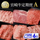 【ふるさと納税】【定期便】宮崎牛 6ヶ月定期便A - 肉 牛