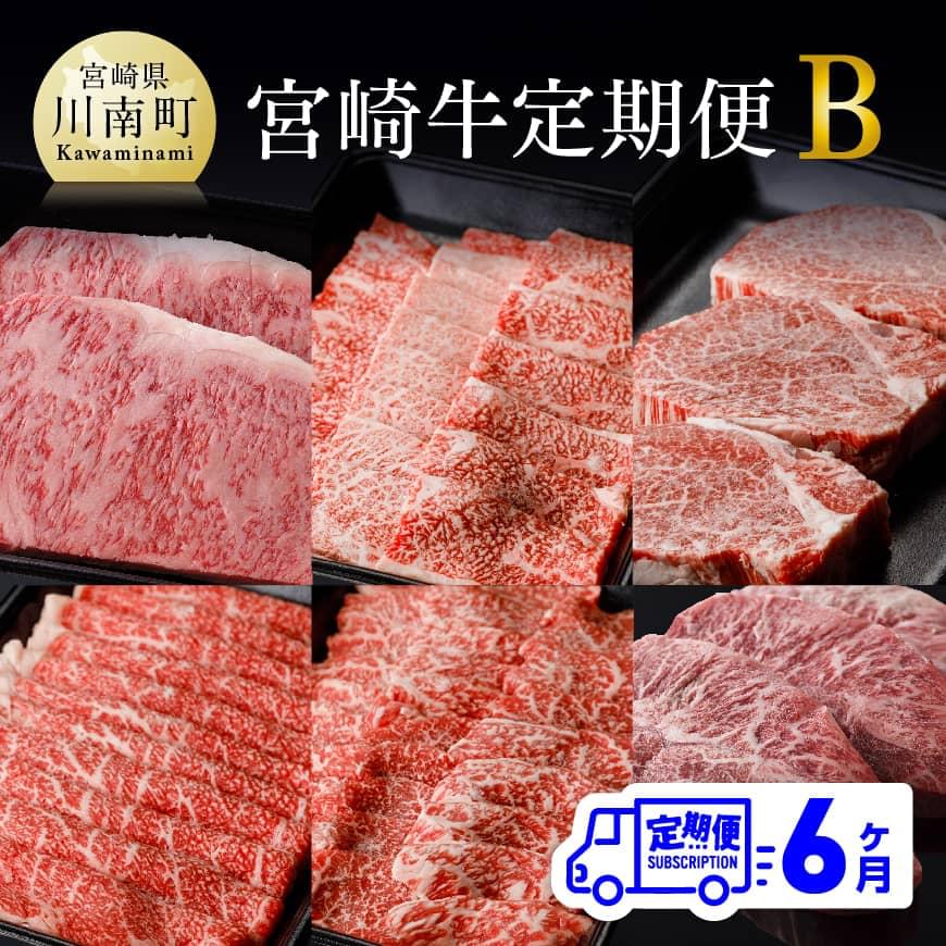 ※レビューキャンペーン※[定期便]宮崎牛 6ヶ月定期便B - 肉 牛肉 国産 宮崎県産 黒毛和牛 和牛 ロースステーキ 肩ロース焼肉 ヒレステーキ ウデスライス モモ焼肉 ミスジステーキ ミヤチク 送料無料 E0687t6