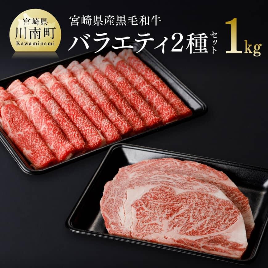 【ふるさと納税】※レビューキャンペーン※宮崎県産 黒毛和牛 バラエティー 2種 セット 肉 牛肉 和...