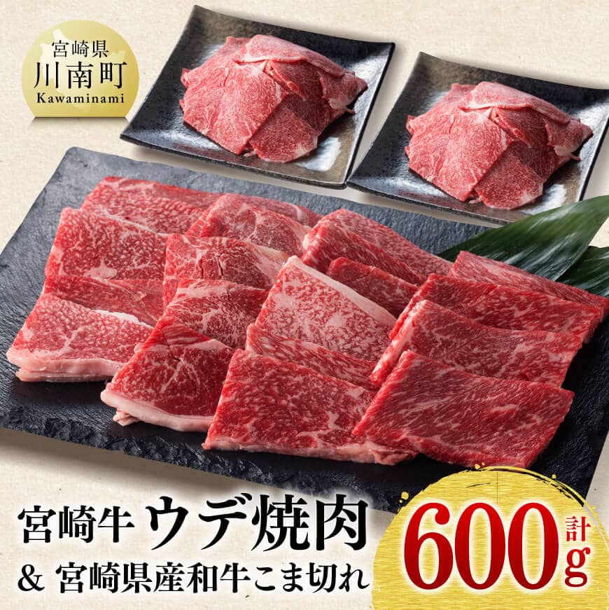 【ふるさと納税】《生産者支援品》宮崎牛ウデ焼肉用(和牛こま切れ付き) 合計 600g - 牛 肉 牛肉 精肉 九州産 国産 宮崎県産 黒毛和牛 和牛 焼き肉 ヤキニク BBQ こま切れ付き ミヤチク 焼肉 4等級 5等級 A4 A5 訳あり 小間切れ 送料無料 F0601