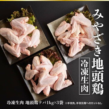 【ふるさと納税】手間暇かけて肥育した旨み豊かな地頭鶏手羽肉3kg 鶏肉 とり肉