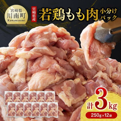 選べる発送月 宮崎県産鶏肉 若鶏 もも肉 3kg (250g×12袋) 肉 鶏 鶏肉 国産 モモ とりもも 若鳥 九州産 鳥 唐揚げ 小分け 使いやすい 便利 F0904