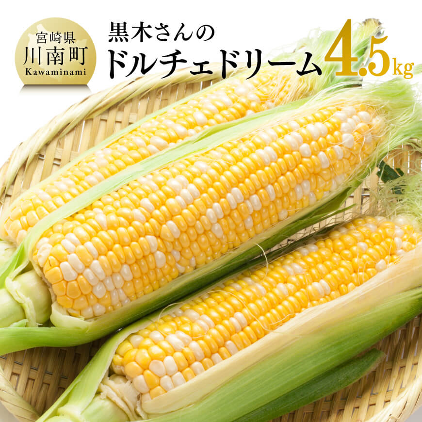 【ふるさと納税】黒木さんちのスイートコーン「ドルチェドリーム」4.5kg【 数量限定 季節限定 産地直送 とうもろこし コーン とうきび 野菜 】 E10902