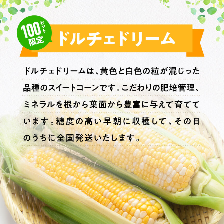 【ふるさと納税】黒木さんちのスイートコーン「ドルチェドリーム」4.5kg【 数量限定 季節限定 産地直送 とうもろこし コーン とうきび 野菜 】 E10902