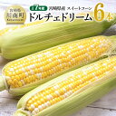 【ふるさと納税】【令和7年産】宮崎県産とうもろこし スィートコーン「ドルチェドリーム」6本 - トウモロコシ コーン ドルチェドリーム とうきび 新鮮 野菜 農...